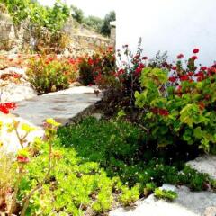 Отель Knidos Butik Otel Датча фото 14