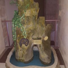 Отель Vanadzor Armenia Health Resort с домашними животными