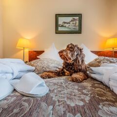 Отель Grata by Centrum Hotels Вильнюс в номере фото 2