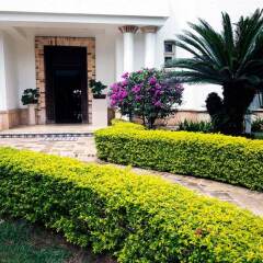 Отель Boutique Villa Casuarianas Колумбия, Кали - отзывы, цены и фото номеров - забронировать отель Boutique Villa Casuarianas онлайн фото 7