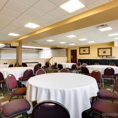 Отель Holiday Inn Niagara Falls Scenic Downtown США, Ниагара-Фолс - отзывы, цены и фото номеров - забронировать отель Holiday Inn Niagara Falls Scenic Downtown онлайн помещение для мероприятий