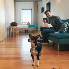 Апартаменты Oh Porto Apartments с домашними животными