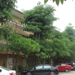 Отель Sophon.19 Apartment (Baan Klang Noen) Таиланд, Паттайя - отзывы, цены и фото номеров - забронировать отель Sophon.19 Apartment (Baan Klang Noen) онлайн парковка