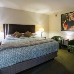 Отель Lemon Tree Inn комната для гостей фото 4