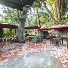 Отель Linhai Guest House Gulangyu Island Китай, Сямынь - отзывы, цены и фото номеров - забронировать отель Linhai Guest House Gulangyu Island онлайн фото 3