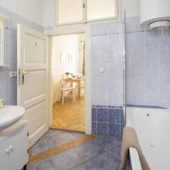 Отель Templova Apartments Чехия, Прага - отзывы, цены и фото номеров - забронировать отель Templova Apartments онлайн ванная