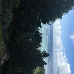 Отель Devon Residence Сейшельские острова, Остров Маэ - отзывы, цены и фото номеров - забронировать отель Devon Residence онлайн фото 2