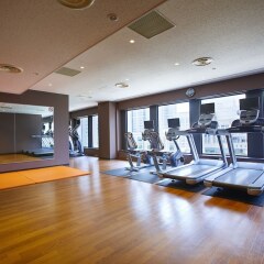 Keio Plaza Hotel Tokyo Premier Grand Токио фитнесс-зал
