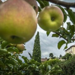 Отель Golserhof Тироло фото 2