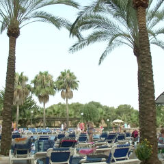 OLA Hotel Maioris - All inclusive питание