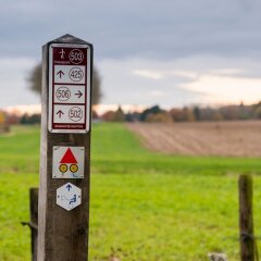 Отель B&B Amelhof Бельгия, Мейсе - отзывы, цены и фото номеров - забронировать отель B&B Amelhof онлайн приотельная территория фото 2