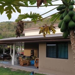 Отель Marama Lodge Tahiti Французская Полинезия, Пунаауиа - отзывы, цены и фото номеров - забронировать отель Marama Lodge Tahiti онлайн