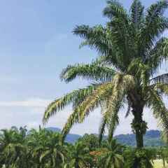 Отель Tinidee Golf Resort at Phuket Пхукет фото 11