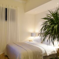 Отель Peking Garden Hotel Китай, Пекин - отзывы, цены и фото номеров - забронировать отель Peking Garden Hotel онлайн комната для гостей фото 3