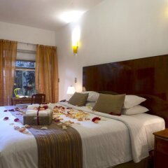 Отель Chalet del Carmen Coyoacán Мексика, Мехико - отзывы, цены и фото номеров - забронировать отель Chalet del Carmen Coyoacán онлайн комната для гостей