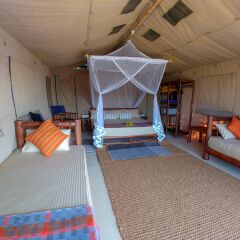 Отель Back of Beyond Dune Camp - Yala детские мероприятия