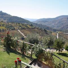 Отель Rural Quinta Do Silval Алижо фото 9
