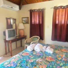 The Ocean Inn in English Harbour, Antigua and Barbuda from 127$, photos, reviews - zenhotels.com room amenities