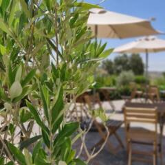 Отель Pure Flor de Esteva - Bed & Breakfast фото 2