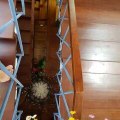 Son Trang Hotel Hoi An с домашними животными