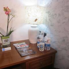 Отель Euro House Inn Airport удобства в номере