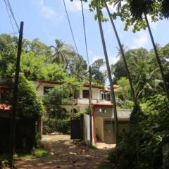 Отель Jungle Guest House Шри-Ланка, Галле - отзывы, цены и фото номеров - забронировать отель Jungle Guest House онлайн фото 4