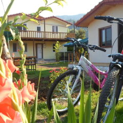 Отель Cirali Flora Pension спа