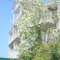 Гостиница Rodnoe mesto Tuapse фото 10