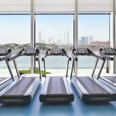 Отель Fairmont Bab Al Bahr ОАЭ, Абу-Даби - 1 отзыв об отеле, цены и фото номеров - забронировать отель Fairmont Bab Al Bahr онлайн фитнесс-зал фото 3