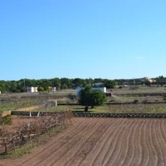 Отель Apartamentos Marcelino - Formentera Break Испания, Форментера - отзывы, цены и фото номеров - забронировать отель Apartamentos Marcelino - Formentera Break онлайн приотельная территория