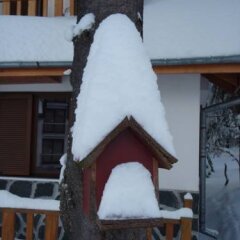 Отель Saint George Borovets Hotel Болгария, Боровец - отзывы, цены и фото номеров - забронировать отель Saint George Borovets Hotel онлайн фото 4