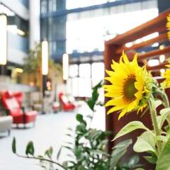 Airport Hotel Bonus Inn бассейн