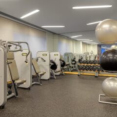 Отель Crowne Plaza Festival City ОАЭ, Дубай - отзывы, цены и фото номеров - забронировать отель Crowne Plaza Festival City онлайн фитнесс-зал фото 2
