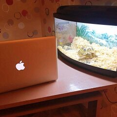 Гостиница Hostel Lighthouse Lviv Украина, Львов - отзывы, цены и фото номеров - забронировать гостиницу Hostel Lighthouse Lviv онлайн удобства в номере