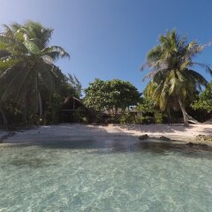 Отель Le Coconut Lodge бассейн
