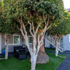 Отель Santa Monica Motel фото 8