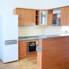 Апартаменты Vodickova apartment в номере