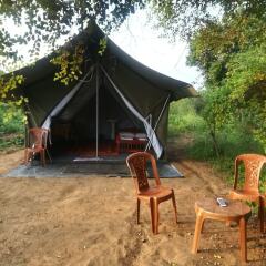 Отель Wild eco safari детские мероприятия