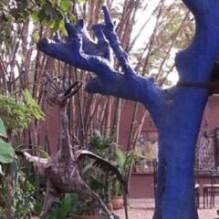 Le Karite Bleu in Ouagadougou, Burkina Faso from 106$, photos, reviews - zenhotels.com photo 2
