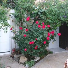 Allenby 2 Bed and Breakfast Израиль, Иерусалим - отзывы, цены и фото номеров - забронировать отель Allenby 2 Bed and Breakfast онлайн фото 9