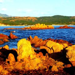 Отель Agriturismo Comino Alto Синискола приотельная территория фото 2