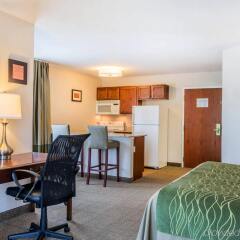 Comfort Inn & Suites in South Burlington, United States of America from 307$, photos, reviews - zenhotels.com guestroom photo 5