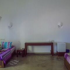 Отель Palm Villa удобства в номере