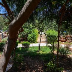 Отель Tur Sinai Organic Farm Resort Иерусалим фото 18