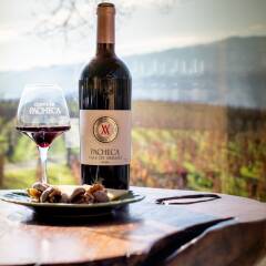 The Wine House Hotel - Quinta Da Pacheca Ламего в номере
