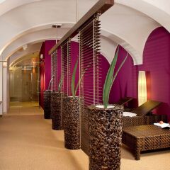 Отель Grand Hotel Mercure Biedermeier Wien Австрия, Вена - 4 отзыва об отеле, цены и фото номеров - забронировать отель Grand Hotel Mercure Biedermeier Wien онлайн спа