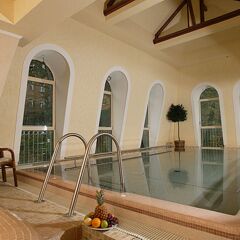 Отель Humboldt Park & Spa Карловы Вары с домашними животными