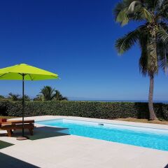 Отель Villa Riviera - Tahiti Французская Полинезия, Пунаауиа - отзывы, цены и фото номеров - забронировать отель Villa Riviera - Tahiti онлайн бассейн фото 3