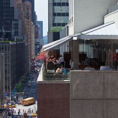 Отель Manhattan Centre Hotel США, Нью-Йорк - отзывы, цены и фото номеров - забронировать отель Manhattan Centre Hotel онлайн бассейн