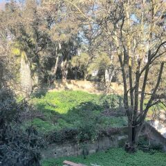 Апартаменты Charming Studio Garden View Great Loc. Лиссабон